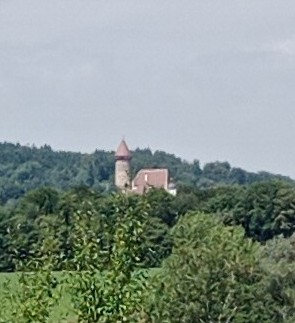Burg Clam 