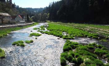 Thaya Fluss Gebiet - einmal nicht gestaut 