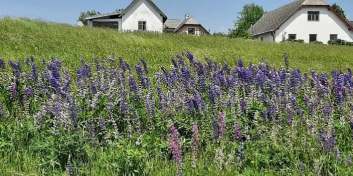 einfach schön - Tschechien 