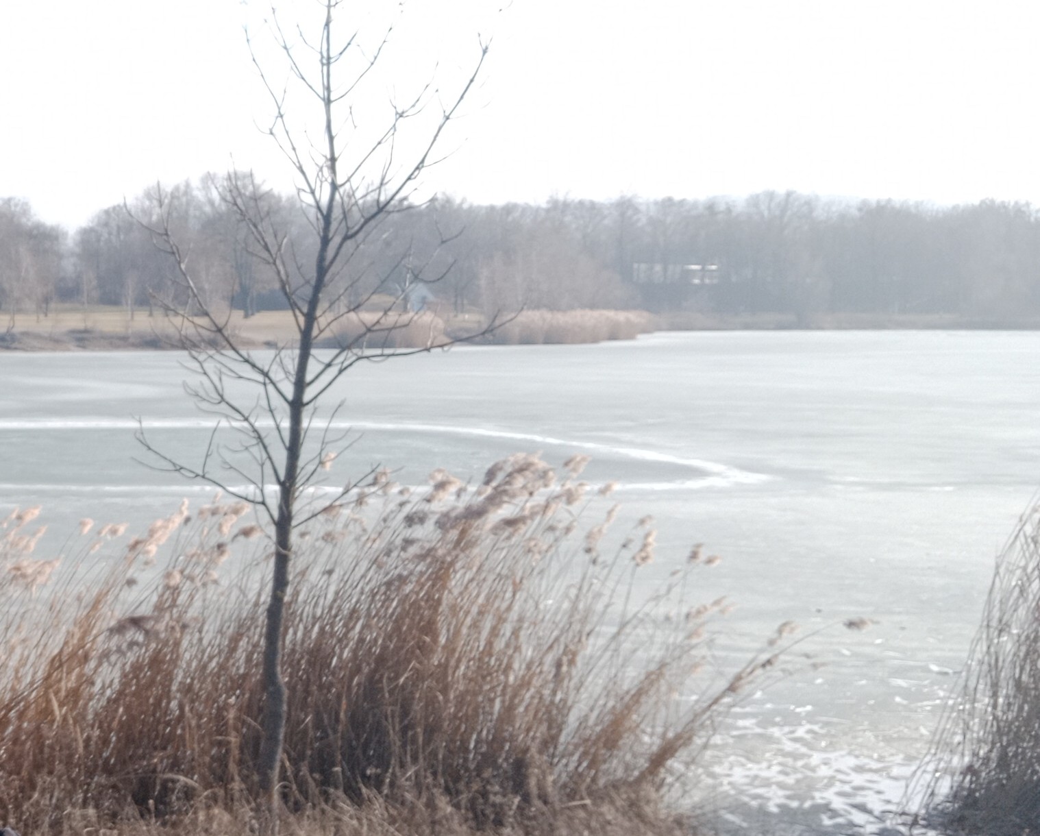 zugefrorener Pichlingersee