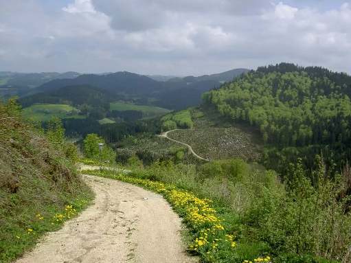Blick von Ruttenstein ins Tal der großen Naarn