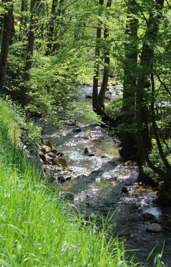 Tal der kleinen Naarn