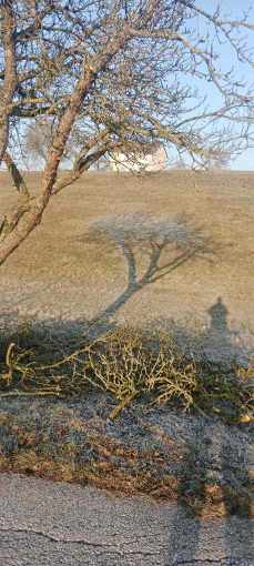 Eisiger Schatten in der Morgensonne 