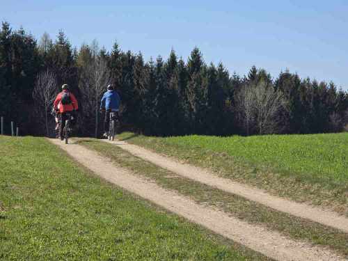 wunderschöne Wegerl 