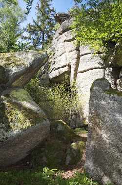 Die Fuchsmauern sind eine Felsformation im Naturpark Mühlviertel in der Gemeinde Rechberg im Bezirk Perg. Sie wurden 1999 ins oberösterreichische Naturschutzbuch als Naturdenkmal eingetragen. Die Felsformation umfasst eine Fläche von insgesamt 1.500 Quadratmetern, wobei eine Höhe von bis zu 15 Metern erreicht wird.