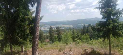 Ausblick nach Freistadt 