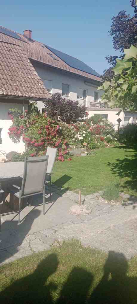 Marias atemberaubender Garten 