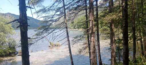 erster Blick zum See